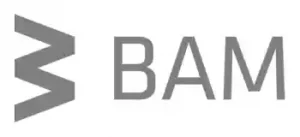 Graues BAM-Logo mit einem stilisierten zickzackförmigen B links neben dem Wort BAM in Großbuchstaben.